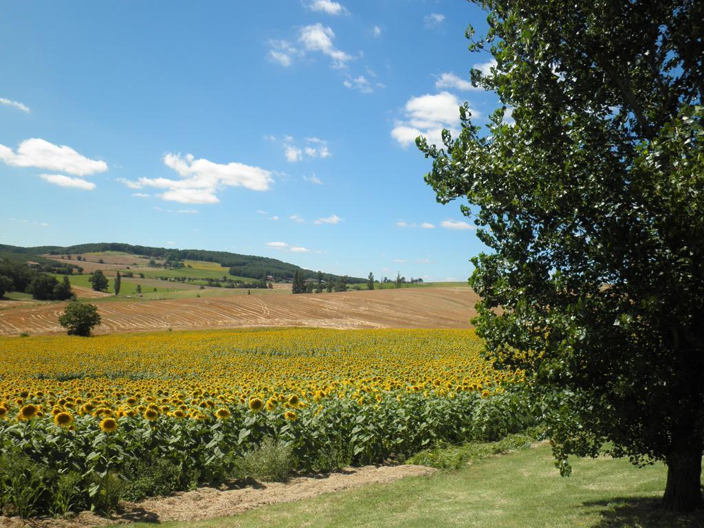 Bed and Breakfast Domaine De La Vigne Cadalen Экстерьер фото