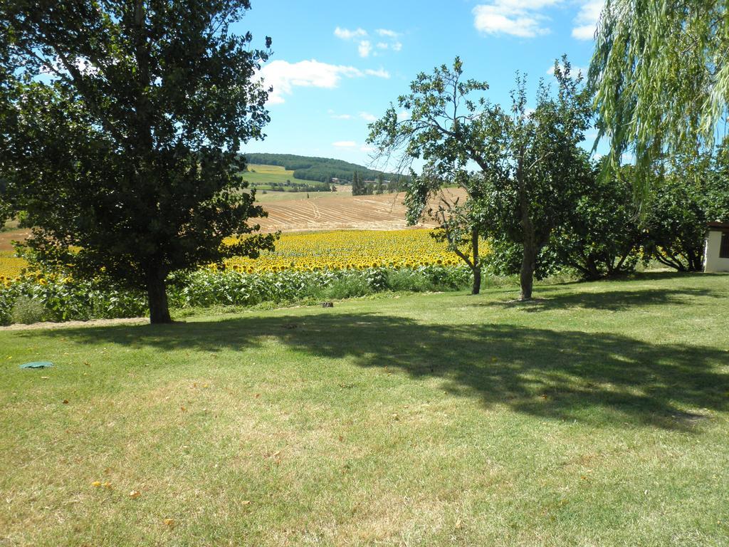 Bed and Breakfast Domaine De La Vigne Cadalen Экстерьер фото