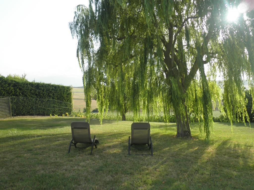 Bed and Breakfast Domaine De La Vigne Cadalen Экстерьер фото